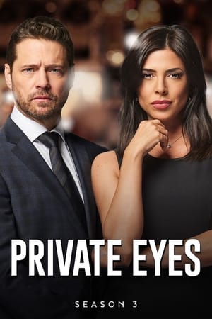 Détectives privés - saison 3 poster