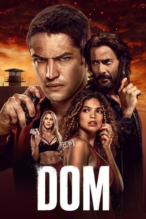 Dom - saison 2 poster