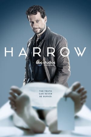 Dr Harrow Saison 1 poster