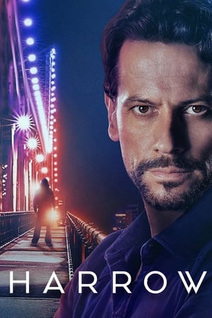 Dr Harrow Saison 2 poster