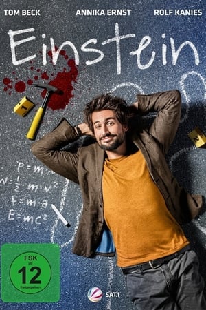 Einstein : équations criminelles - saison 1 poster