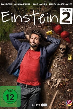Einstein : équations criminelles - saison 2 poster