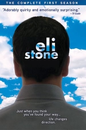Eli Stone Saison 1 poster