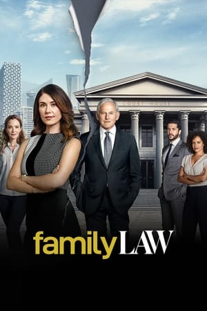 Family Law Saison 1 poster