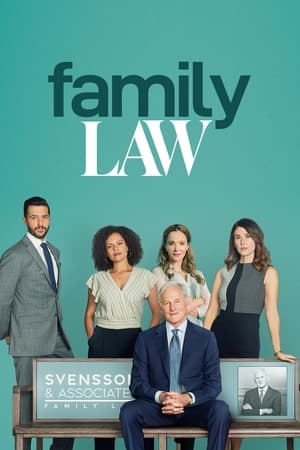 Family Law Saison 2 poster