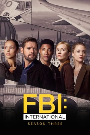FBI: International Saison 3 poster
