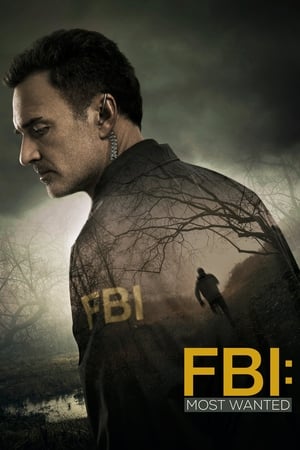FBI: Most Wanted Saison 1 poster