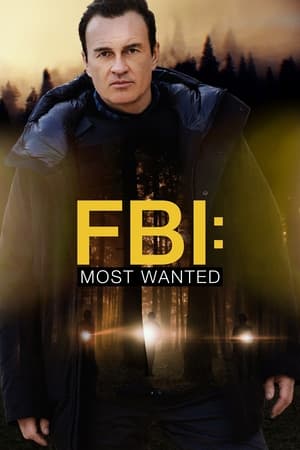 FBI: Most Wanted Saison 3 poster