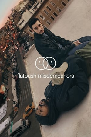 Flatbush Misdemeanors Saison 1 poster