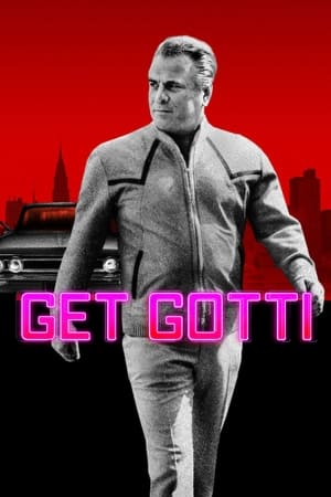 Get Gotti : Le parrain doit tomber Saison 1 poster