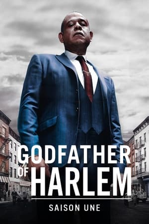 Godfather of Harlem Saison 1 poster