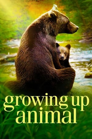 Grandir dans le monde animal Saison 1 poster
