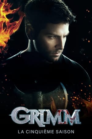 Grimm Saison 5 poster