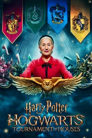 Harry Potter : le tournoi des quatre maisons - saison 1 poster