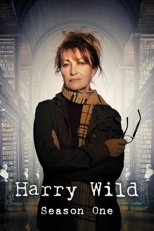 Harry Wild Saison 1 poster