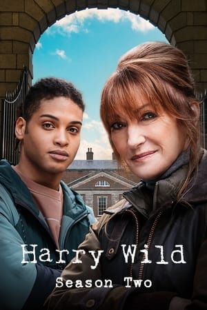 Harry Wild Saison 2 poster