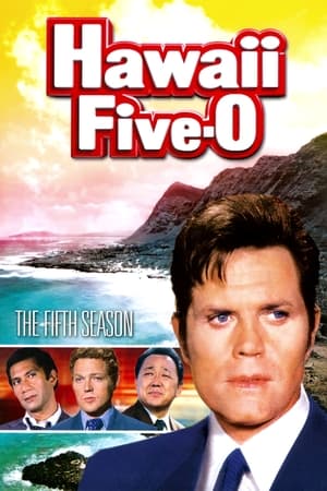 Hawaï police d'État Saison 5 poster
