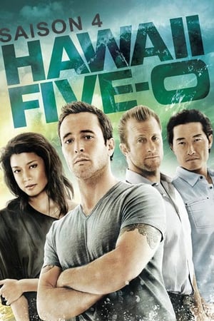 Hawaii 5-0 Saison 4 poster