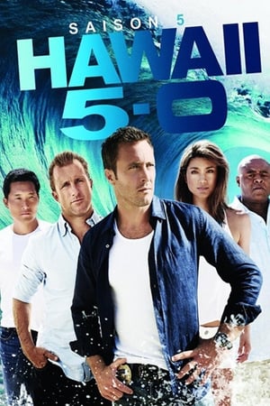 Hawaii 5-0 Saison 5 poster
