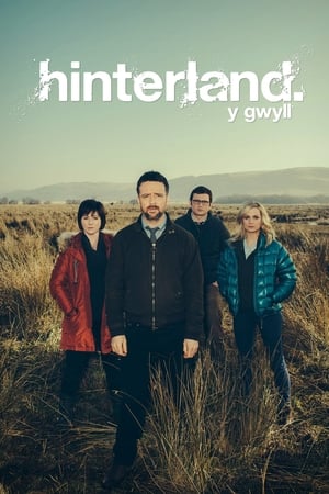 Hinterland - saison 1 poster