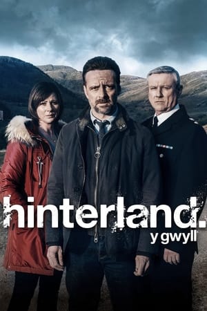 Hinterland - saison 2 poster