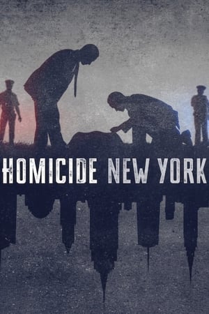 Homicide - saison 1 poster