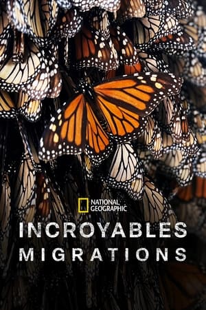 Incroyables migrations Saison 1 poster