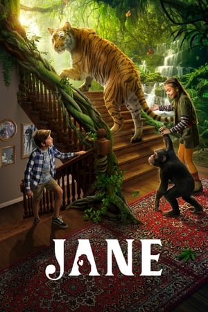 Jane Saison 1 poster