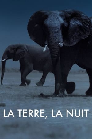 La Terre, La Nuit