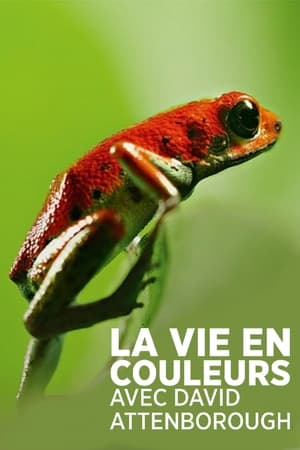 La vie en couleurs avec David Attenborough