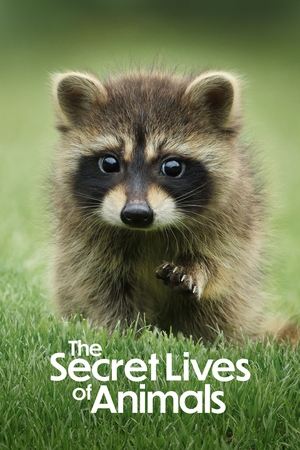 La Vie secrète des animaux