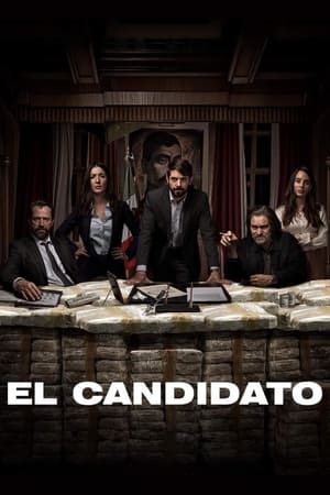 Le candidat - saison 1 poster