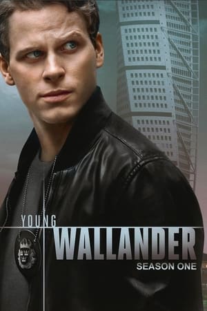 Le jeune Wallander Saison 1 poster
