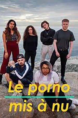 Le Porno mis à nu Saison 1 poster