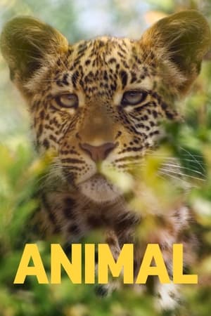 Le règne animal Saison 1 poster