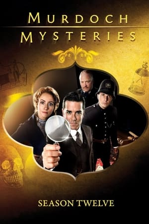 Les Enquêtes de Murdoch Saison 12 poster
