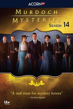 Les Enquêtes de Murdoch - saison 14 poster