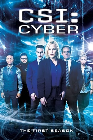 Les Experts : Cyber Saison 1 poster