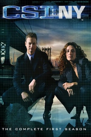 Les Experts : Manhattan Saison 1 poster