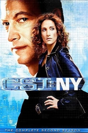 Les Experts : Manhattan Saison 2 poster
