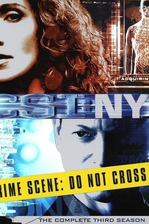 Les Experts : Manhattan Saison 3 poster