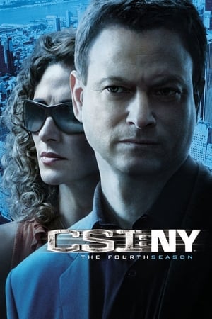 Les Experts : Manhattan Saison 4 poster