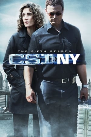 Les Experts : Manhattan Saison 5 poster