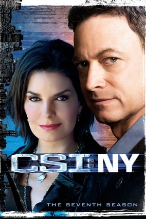 Les Experts : Manhattan Saison 7 poster
