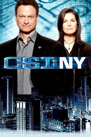 Les Experts : Manhattan Saison 8 poster