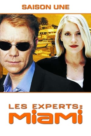 Les Experts : Miami Saison 1 poster