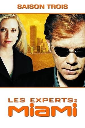 Les Experts : Miami Saison 3 poster