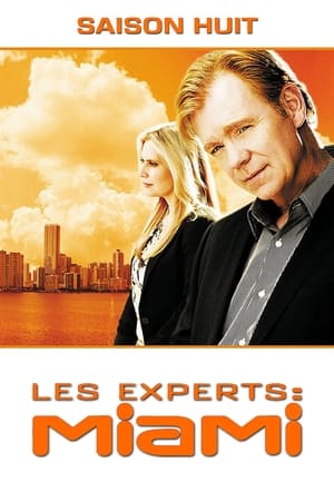 Les Experts : Miami - saison 8 poster