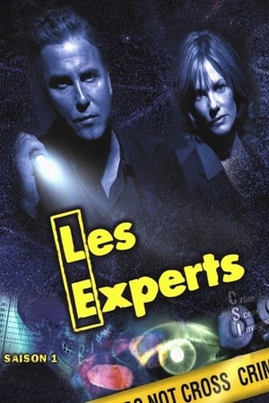 Les Experts saison 1