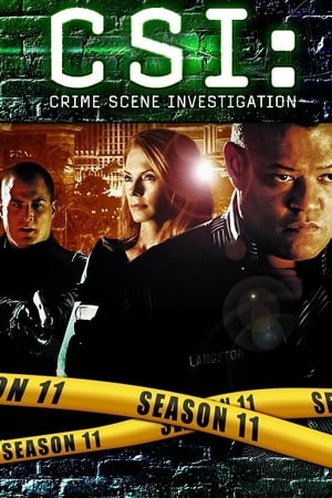 Les Experts saison 11